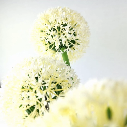 14524_7_11zon.webp