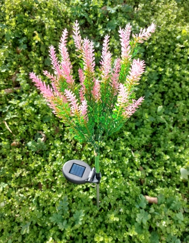 22032_1_11zon.webp