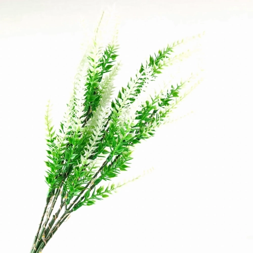 20467_3_11zon.webp