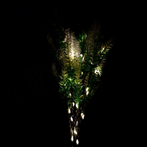 20469_5_11zon.webp