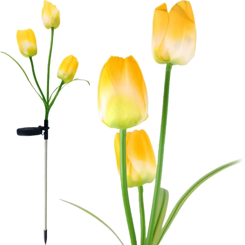23447_1_11zon.webp