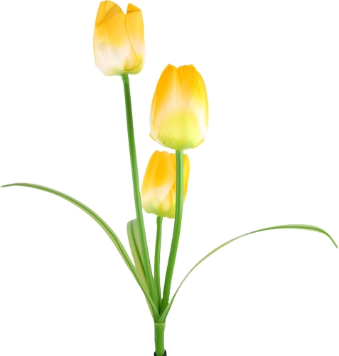 14224_25_11zon.webp