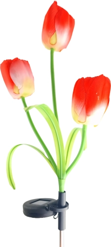 14183_5_11zon.webp