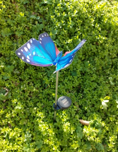 21439_1_11zon.webp