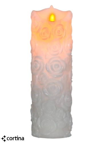 24445_7_11zon.webp
