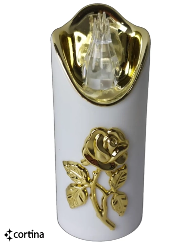 23977_9_11zon.webp