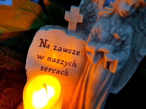 928a10d045b8a4fc30cff9029569