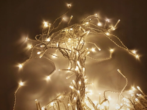 6e8f7fc14808940a9586567c3056_1_11zon.webp